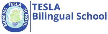 TeslaWEB1